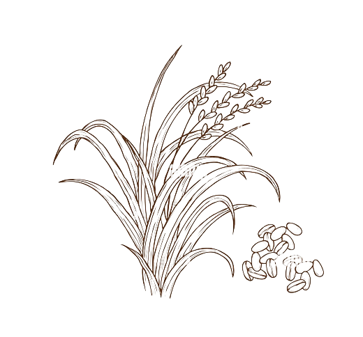 米ぬか吟醸エキス