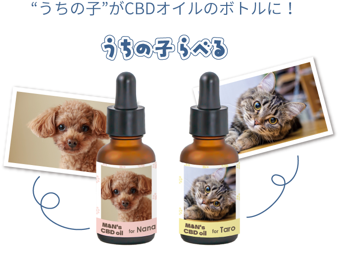 CBDオイル限定プレゼント