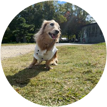 イヴ 12歳5ヶ月 女の子