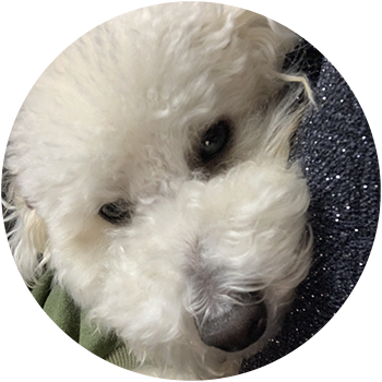 グン 1歳 男の子