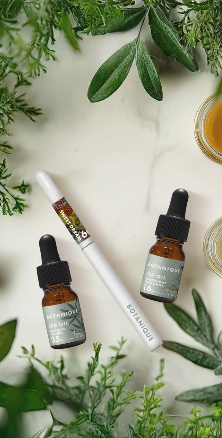 ファーストビュー画像