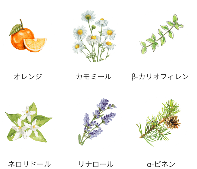 オレンジ カモミール β-カリオフィレン ネロリドール リナロール α-ピネン