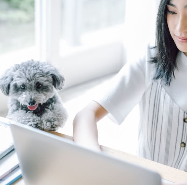 ヒーローイメージ