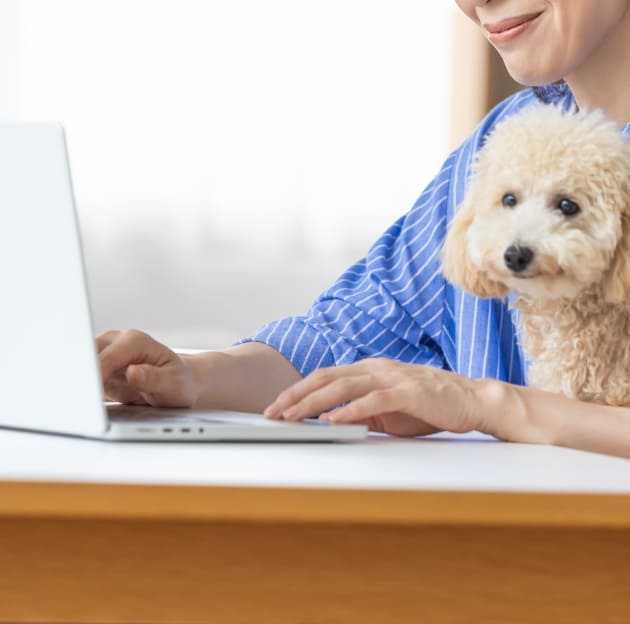 ヒーローイメージ