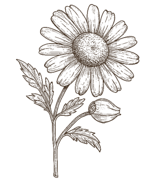 ふわふわと動く背景画像