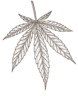 ふわふわと動く背景画像