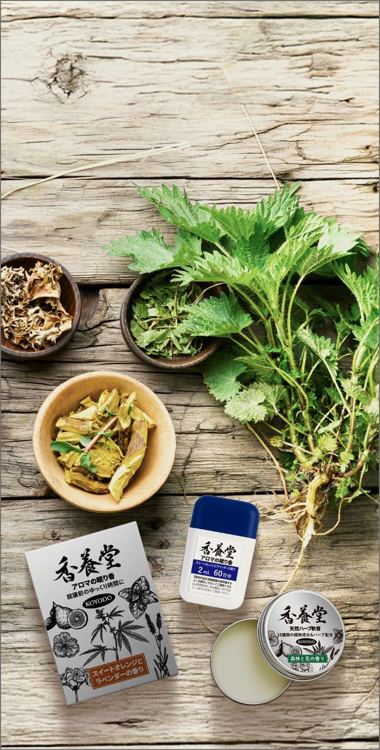 ファーストビュー画像