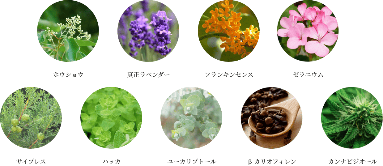 ホウショウ　真正ラベンダー　フランキンセンス　ゼラニウム　サイプレス　ハッカ　ユーカリプトール　β-カリオフィレン　カンナビジオール