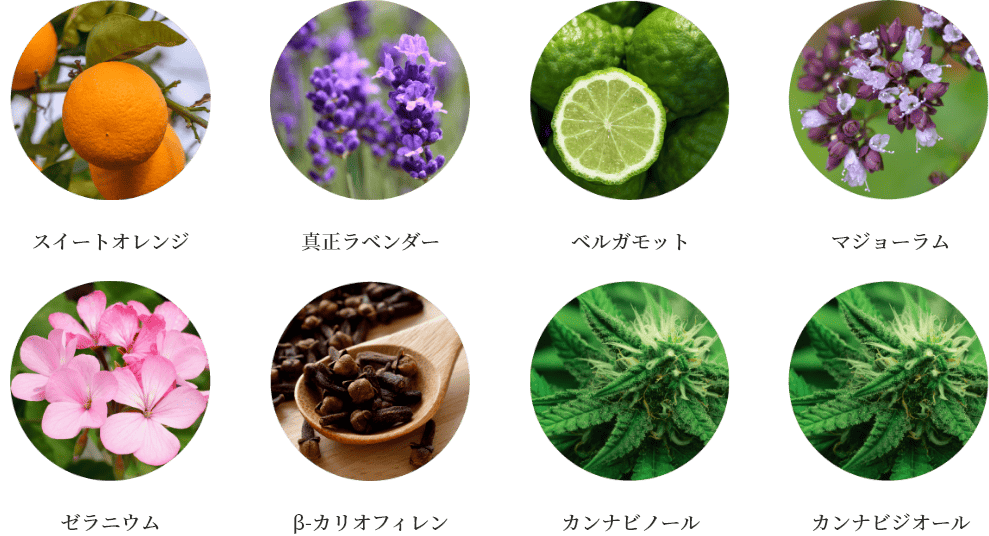 スイートオレンジ　真正ラベンダー　ベルガモット　マジョーラム　ゼラニウム　β-カリオフィレン　カンナビノール　カンナビジオール